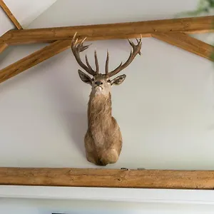Hoeve De Zuidhoek , Bruges Belgium